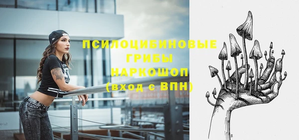 молекула духа Алексин